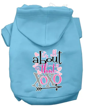 All About That Xoxo Screen Print Dog Hoodie Baby Blue M