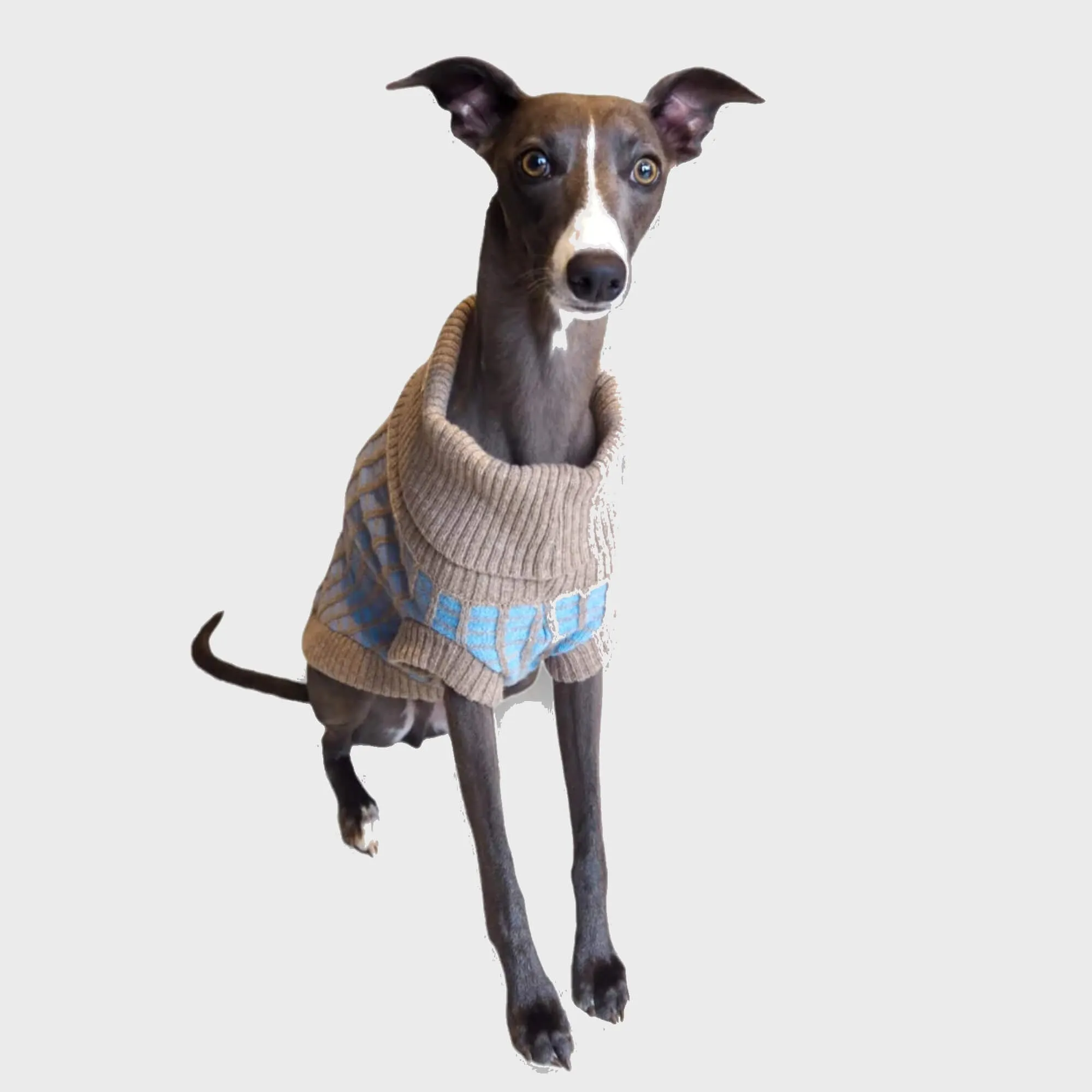 Paddy Dog Jumper Sky Blue