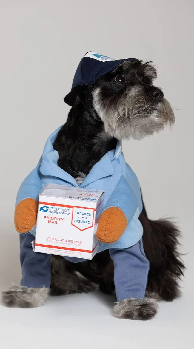 US Mail Carrier Pup Costume